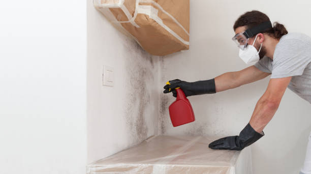Professional Mold Cleanup technician working in Mineola, NY